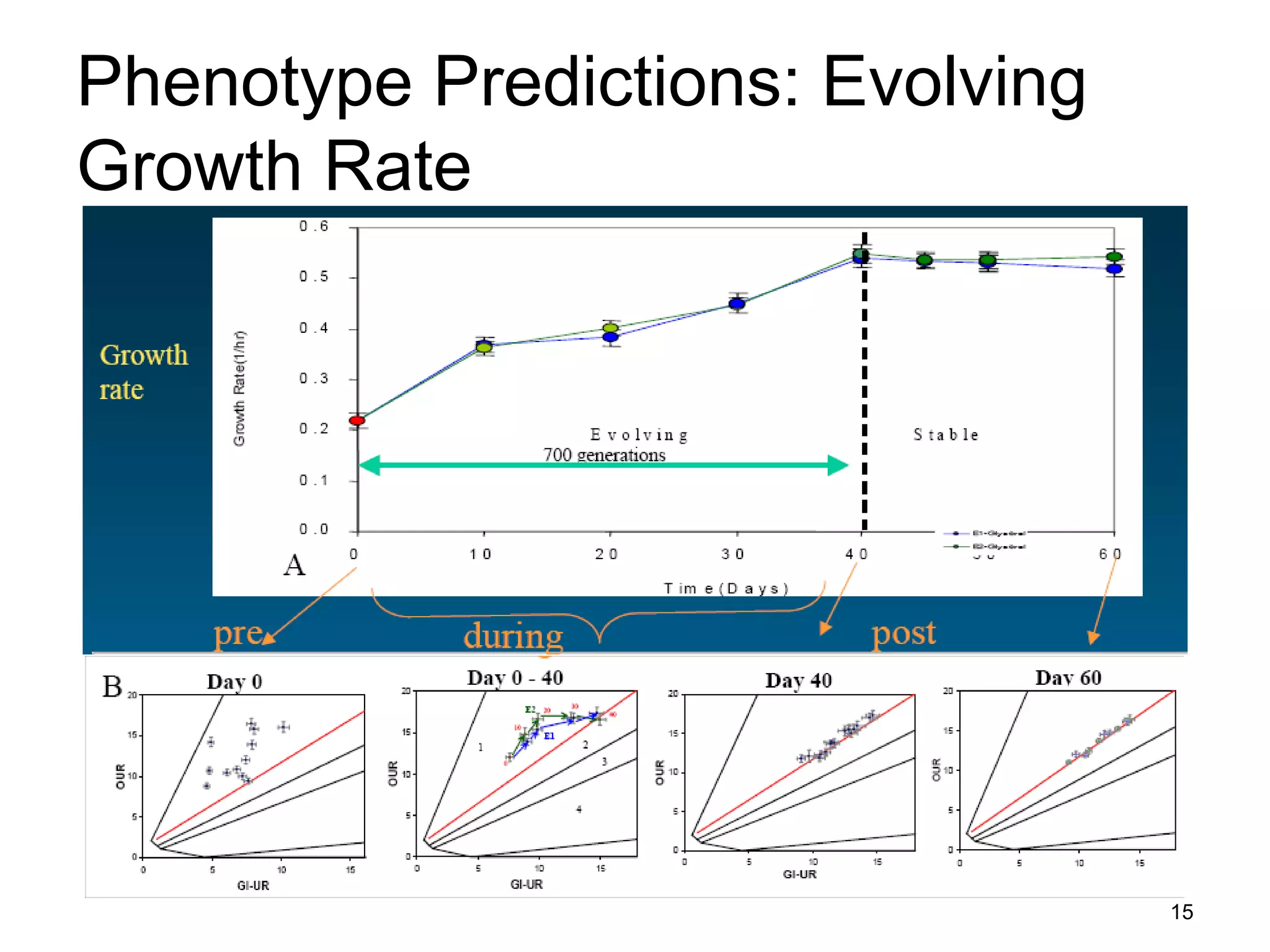 15
Phenotype Predictions: Evolving
Growth Rate
 