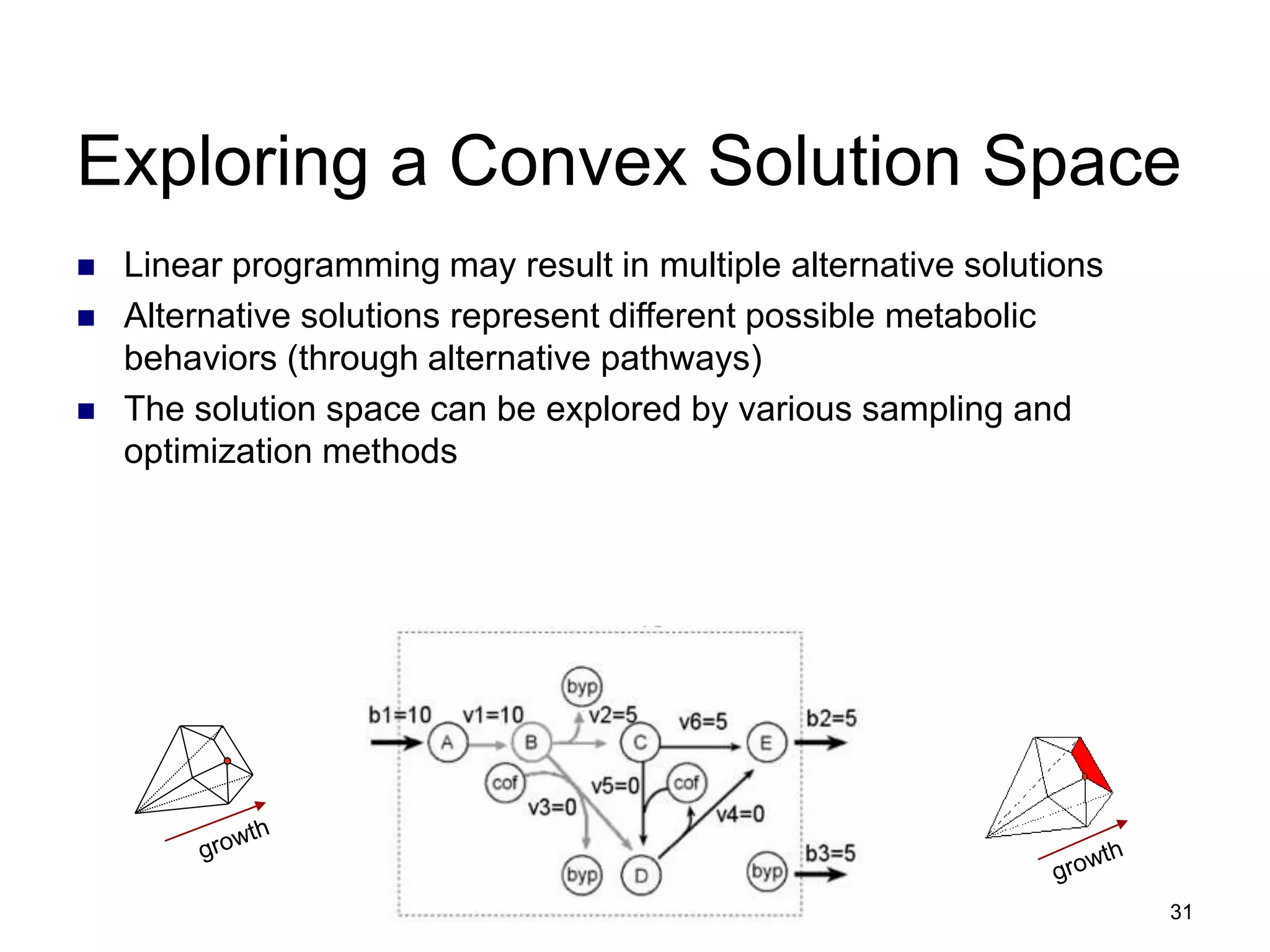 31
Exploring a Convex Solution Space
 Linear programming may result in multiple alternative solutions
 Alternative solutions represent different possible metabolic
behaviors (through alternative pathways)
 The solution space can be explored by various sampling and
optimization methods
 