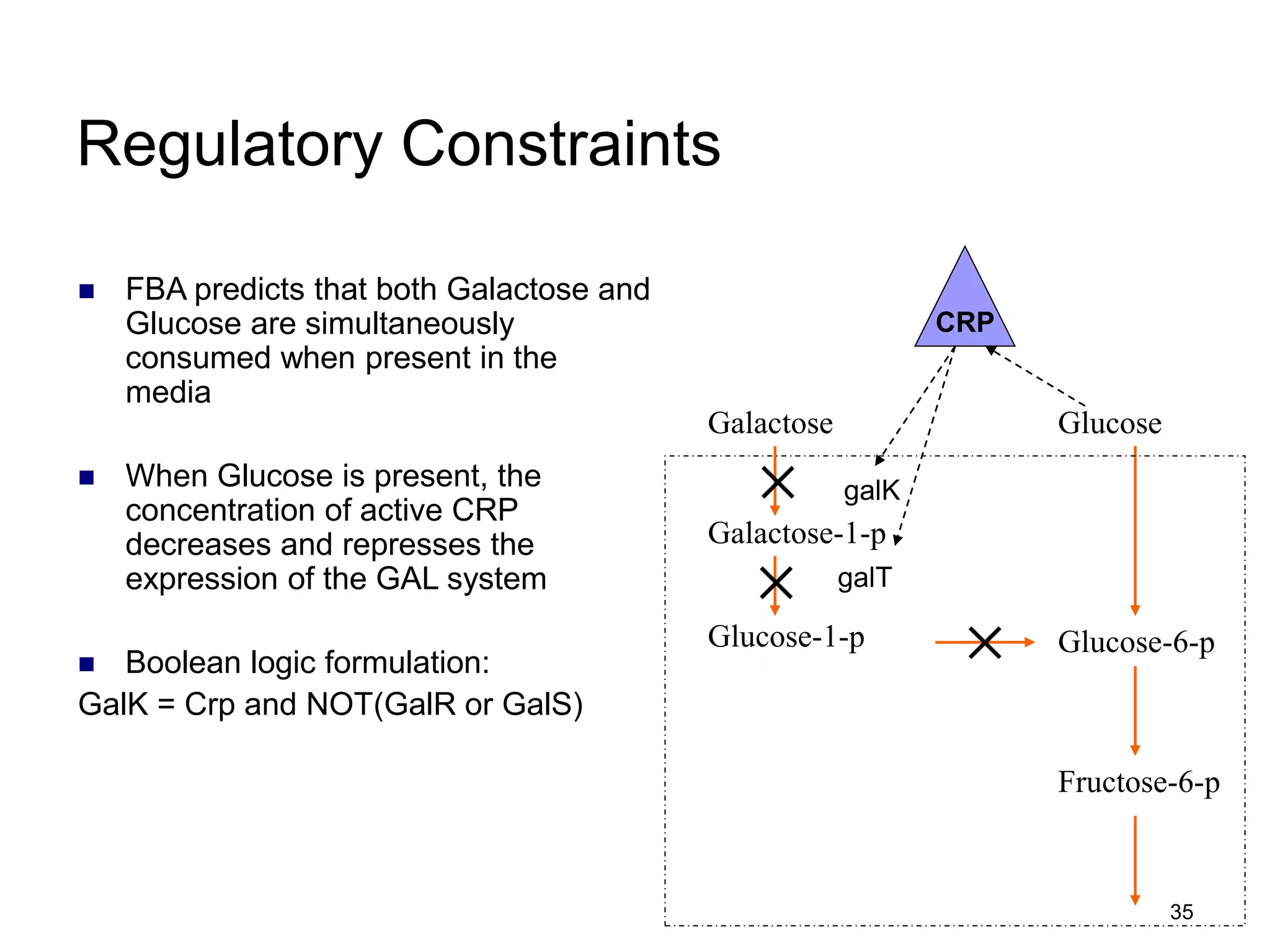 35
Regulatory Constraints
 FBA predicts that both Galactose and
Glucose are simultaneously
consumed when present in the
media
 When Glucose is present, the
concentration of active CRP
decreases and represses the
expression of the GAL system
 Boolean logic formulation:
GalK = Crp and NOT(GalR or GalS)
Glucose-6-p
Galactose Glucose
Fructose-6-p
Galactose-1-p
Glucose-1-p
galK
galT
CRP
 