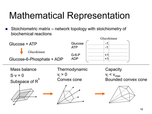 Metabolic_networks_lecture2 (1).ppt