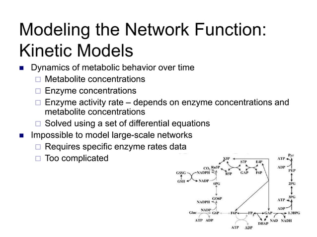 Metabolic_networks_lecture2 (1).ppt