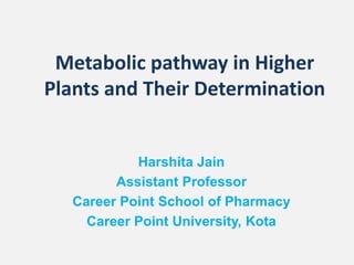 Metabolic pathway in Higher
Plants and Their Determination
Harshita Jain
Assistant Professor
Career Point School of Pharmacy
Career Point University, Kota
 