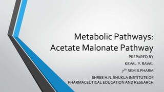 Metabolic Pathways:
Acetate Malonate Pathway
PREPARED BY
KEVAL Y. RAVAL
7TH SEM B.PHARM
SHREE H.N. SHUKLA INSTITUTE OF
PHARMACEUTICAL EDUCATION AND RESEARCH
 