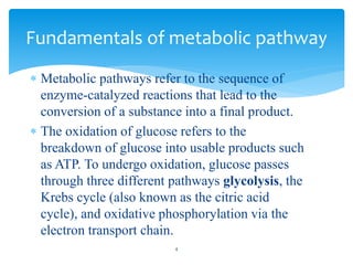  Metabolic pathways refer to the sequence of
enzyme-catalyzed reactions that lead to the
conversion of a substance into a final product.
 The oxidation of glucose refers to the
breakdown of glucose into usable products such
as ATP. To undergo oxidation, glucose passes
through three different pathways glycolysis, the
Krebs cycle (also known as the citric acid
cycle), and oxidative phosphorylation via the
electron transport chain.
Fundamentals of metabolic pathway
4
 
