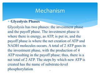  Glycolysis Phases
Glycolysis has two phases: the investment phase
and the payoff phase. The investment phase is
where there is energy, as ATP, is put in, and the
payoff phase is where the net creation of ATP and
NADH molecules occurs. A total of 2 ATP goes in
the investment phase, with the production of 4
ATP resulting in the payoff phase; thus, there is a
net total of 2 ATP. The steps by which new ATP is
created has the name of substrate-level
phosphorylation
Mechanism
7
 