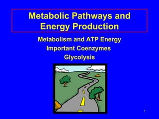Metabolic Pathways and Energy Production ,[object Object],[object Object],[object Object]