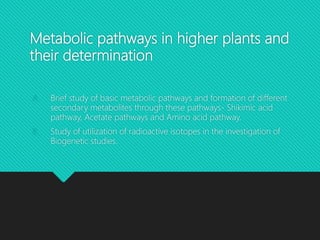 Metabolic pathways in higher plants and
their determination
A. Brief study of basic metabolic pathways and formation of different
secondary metabolites through these pathways- Shikimic acid
pathway, Acetate pathways and Amino acid pathway.
B. Study of utilization of radioactive isotopes in the investigation of
Biogenetic studies.
 