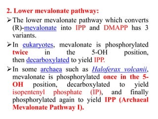 2. Lower mevalonate pathway:
The lower mevalonate pathway which converts
(R)-mevalonate into IPP and DMAPP has 3
variants.
In eukaryotes, mevalonate is phosphorylated
twice in the 5-OH position,
then decarboxylated to yield IPP.
In some archaea such as Haloferax volcanii,
mevalonate is phosphorylated once in the 5-
OH position, decarboxylated to yield
isopentenyl phosphate (IP), and finally
phosphorylated again to yield IPP (Archaeal
Mevalonate Pathway I).
 