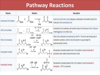 Pathway Reactions
 