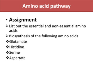 Amino acid pathway
• Assignment
List out the essential and non-essential amino
acids
Biosynthesis of the following amino acids
Glutamate
Histidine
Serine
Aspartate
 