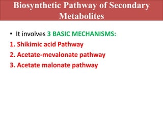 Biosynthetic Pathway of Secondary
Metabolites
• It involves 3 BASIC MECHANISMS:
1. Shikimic acid Pathway
2. Acetate-mevalonate pathway
3. Acetate malonate pathway
 