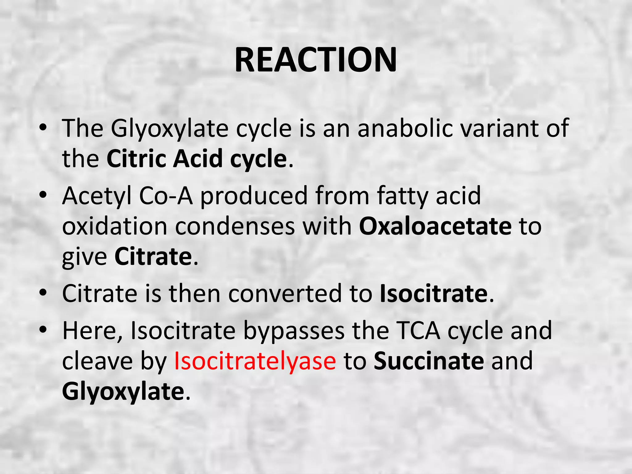 Glyoxylate Cycle | PPTX