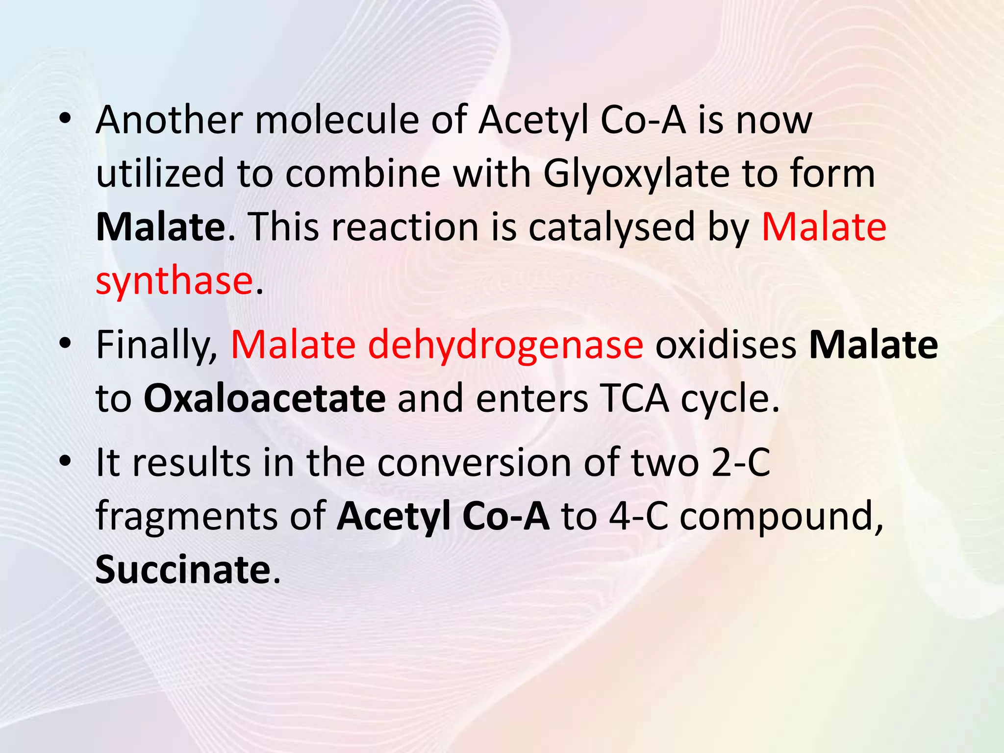 Glyoxylate Cycle | PPTX