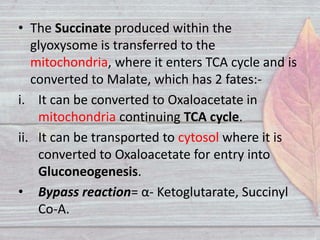 Glyoxylate Cycle | PPTX