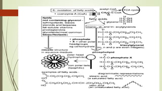 Metabolic pathways with particular relevance to environmental ...