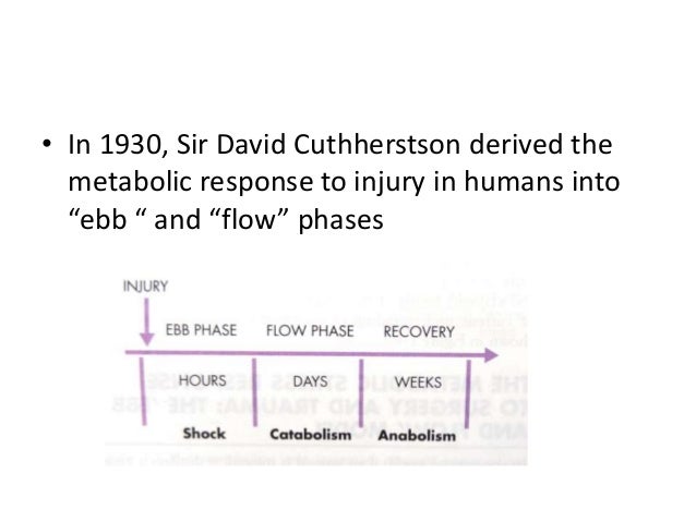 Metabolic response to injury diagram of phase changes 