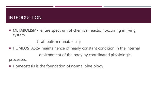 metabolic turnover definition metabolic turnover definition