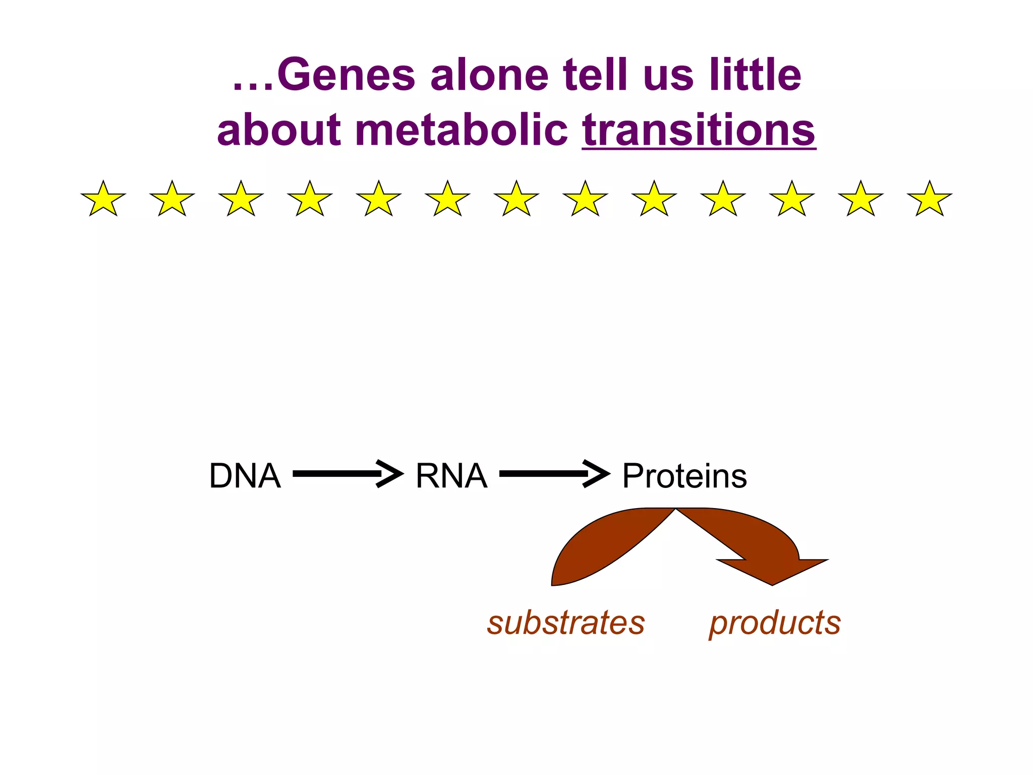 Methylobacterium Extorquens Metabolic Superstar PPT methylobacterium-extorquens-metabolic-superstar-ppt