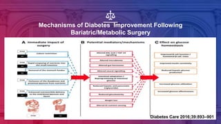Mechanisms of Diabetes Improvement Following
Bariatric/Metabolic Surgery
Diabetes Care 2016;39:893–901
 