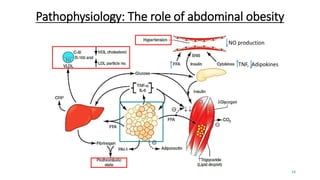 TNF, Adipokines
NO production
Pathophysiology: The role of abdominal obesity
14
 