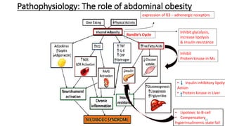Inhibit
Protein kinase in Ms
• Insulin inhibitory lipolys
Action
• Protein kinase in Liver
expression of ß3 – adrenergic receptors
Randle’s Cycle
Inhibit glycolysis,
increase lipolysis
& Insulin resistance
Pathophysiology: The role of abdominal obesity
15
• Lipotoxic to B-cell
• Compensatory
hyperinsulinemic state fail
 