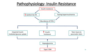 Pathophysiology- Insulin Resistance
Fasting hyperinsulinemia
Insulin resistance
Lipolysis by LPL
Toxic injury to
pancreatic islets
Insulin
resistance
Type 2 DM
Impaired insulin
mediated glucose uptake
Hyperglycemia
Abundance of FFA’s
18
 