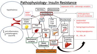 Pathophysiology- Insulin Resistance
expression of ß3 – adrenergic receptors
Inhibit glycolysis
& Insulin resistance
anti-inflammatory
antiatherogenic
And HTN
hypothalamus
NADP
oxidase
ACE
• postprandial
hyperinsulinemia
• fasting hyperinsulinemia
• fasting hyperglycemia
• IR…. FFA…IR
19
 