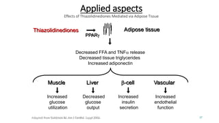 Thiazolidinediones Adipose tissue
Muscle Liver
Decreased FFA and TNFa release
Decreased tissue triglycerides
Increased adiponectin
Decreased
glucose
output
Increased
glucose
utilization
b-cell
Increased
insulin
secretion
Vascular
Increased
endothelial
function
PPARg
Adapted from Goldstein BJ. Am J Cardiol. Suppl 2002.
Applied aspects
Effects of Thiazolidinediones Mediated via Adipose Tissue
27
 