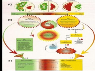 Why Most Diets Fail!