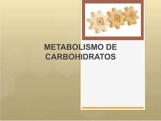 METABOLISMO DE
CARBOHIDRATOS
 