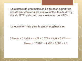 La síntesis de una molécula de glucosa a partir de
dos de piruvato requiere cuatro moléculas de ATP y
dos de GTP, así como dos moléculas de NADH.
La ecuación neta para la gluconeogénesis es
 
