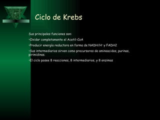 Ciclo de Krebs Sus principales funciones son: Oxidar completamente el Acetil-CoA Producir energía reductora en forma de NADH/ H +  y FADH2 Sus intermediarios sirven como precursores de aminoacidos, purinas, pirimidinas. El ciclo posee 8 reacciones, 8 intermediarios, y 8 enzimas 