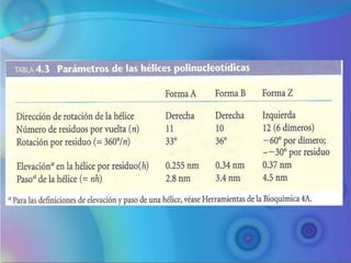 Metabolismo de ácidos nucleicos 