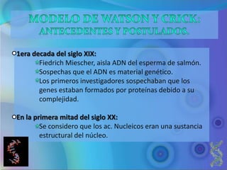 1era decada del siglo XIX:
       Fiedrich Miescher, aisla ADN del esperma de salmón.
       Sospechas que el ADN es material genético.
       Los primeros investigadores sospechaban que los
       genes estaban formados por proteínas debido a su
       complejidad.

En la primera mitad del siglo XX:
        Se considero que los ac. Nucleicos eran una sustancia
        estructural del núcleo.
 