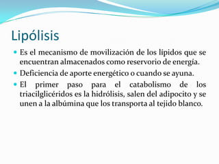 Metabolismo de lipidos Slide 14