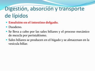Metabolismo de lipidos Slide 4
