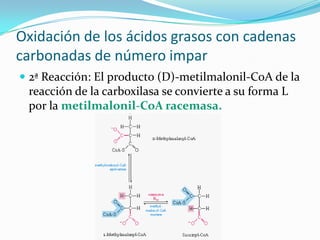 Metabolismo de lipidos Slide 48