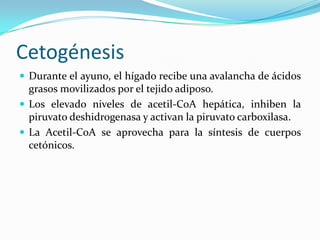 Metabolismo de lipidos Slide 77