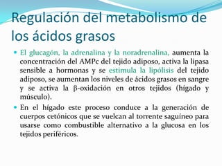 Metabolismo de lipidos Slide 96