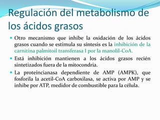 Metabolismo de lipidos Slide 98