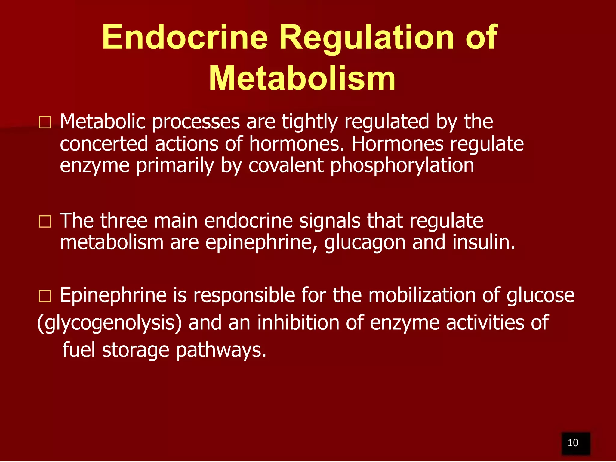 Endocrine Regulation of
Metabolism


Metabolic processes are tightly regulated by the
concerted actions of hormones. Hormones regulate
enzyme primarily by covalent phosphorylation



The three main endocrine signals that regulate
metabolism are epinephrine, glucagon and insulin.

Epinephrine is responsible for the mobilization of glucose
(glycogenolysis) and an inhibition of enzyme activities of
fuel storage pathways.


10

 