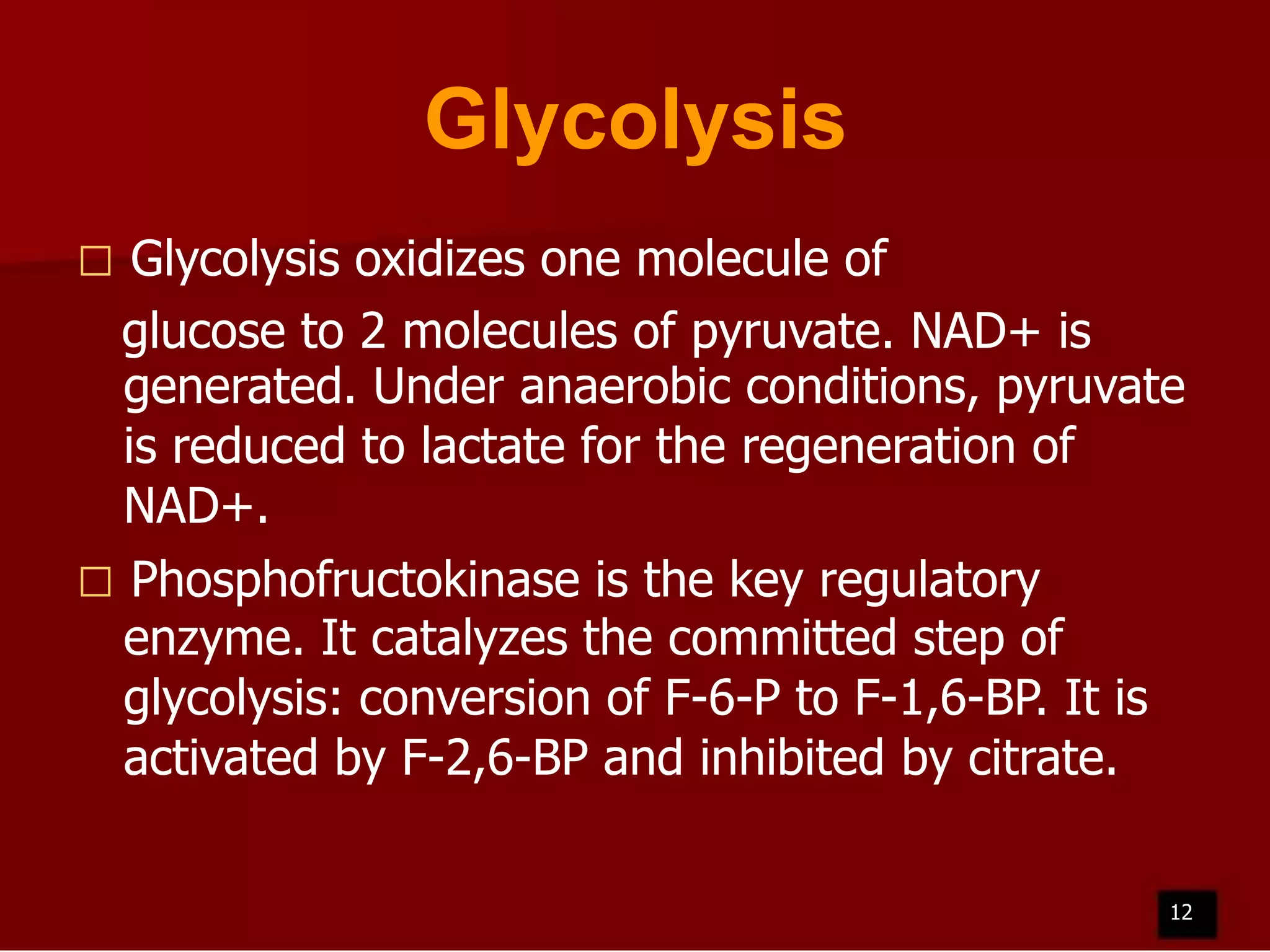 Glycolysis
Glycolysis oxidizes one molecule of
glucose to 2 molecules of pyruvate. NAD+ is
generated. Under anaerobic conditions, pyruvate
is reduced to lactate for the regeneration of
NAD+.
 Phosphofructokinase is the key regulatory
enzyme. It catalyzes the committed step of
glycolysis: conversion of F-6-P to F-1,6-BP. It is
activated by F-2,6-BP and inhibited by citrate.


12

 
