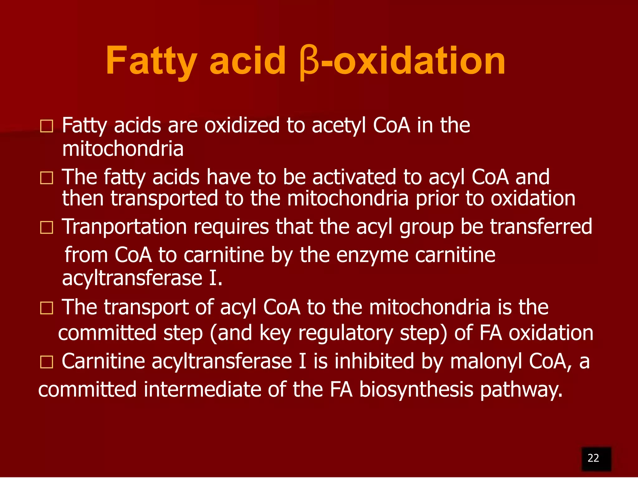 Fatty acid β-oxidation
Fatty acids are oxidized to acetyl CoA in the
mitochondria
 The fatty acids have to be activated to acyl CoA and
then transported to the mitochondria prior to oxidation
 Tranportation requires that the acyl group be transferred
from CoA to carnitine by the enzyme carnitine
acyltransferase I.
 The transport of acyl CoA to the mitochondria is the
committed step (and key regulatory step) of FA oxidation
 Carnitine acyltransferase I is inhibited by malonyl CoA, a
committed intermediate of the FA biosynthesis pathway.


22

 