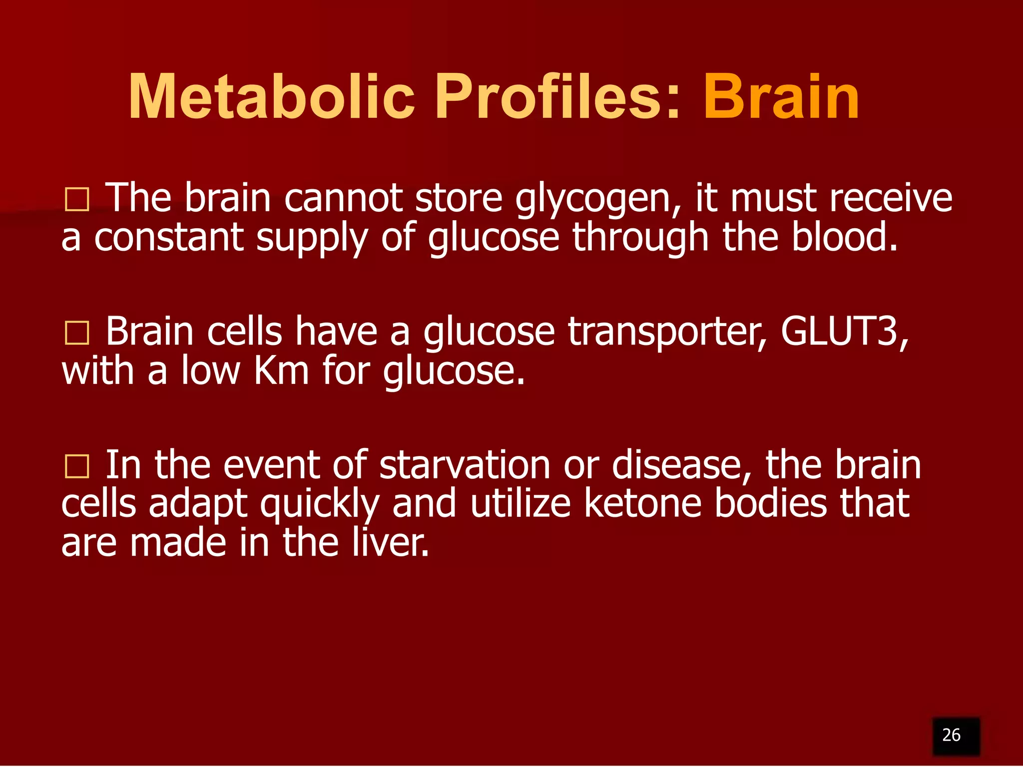 Metabolic Profiles: Brain
The brain cannot store glycogen, it must receive
a constant supply of glucose through the blood.


Brain cells have a glucose transporter, GLUT3,
with a low Km for glucose.


In the event of starvation or disease, the brain
cells adapt quickly and utilize ketone bodies that
are made in the liver.


26

 