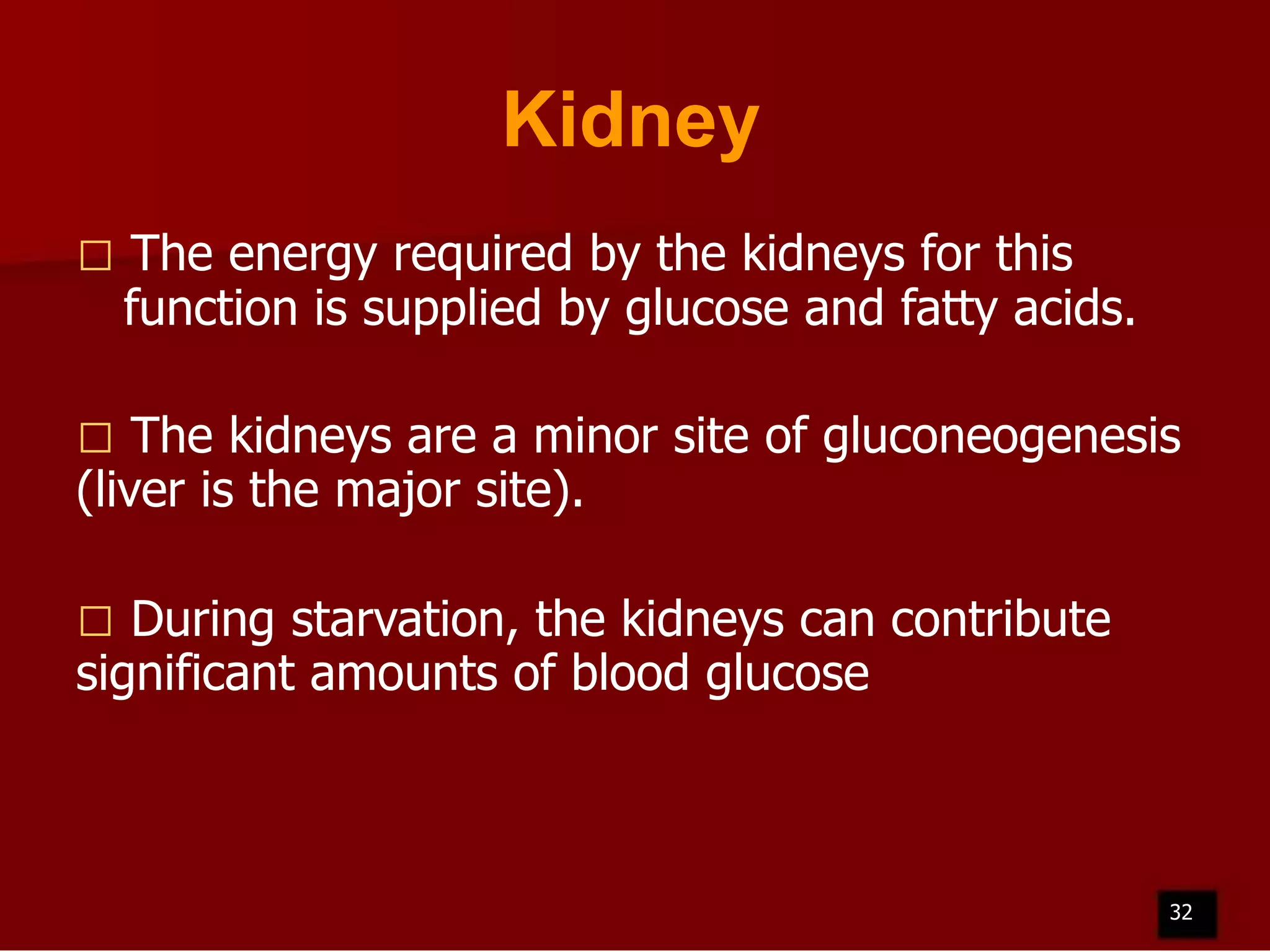 Kidney


The energy required by the kidneys for this
function is supplied by glucose and fatty acids.

The kidneys are a minor site of gluconeogenesis
(liver is the major site).


During starvation, the kidneys can contribute
significant amounts of blood glucose


32

 