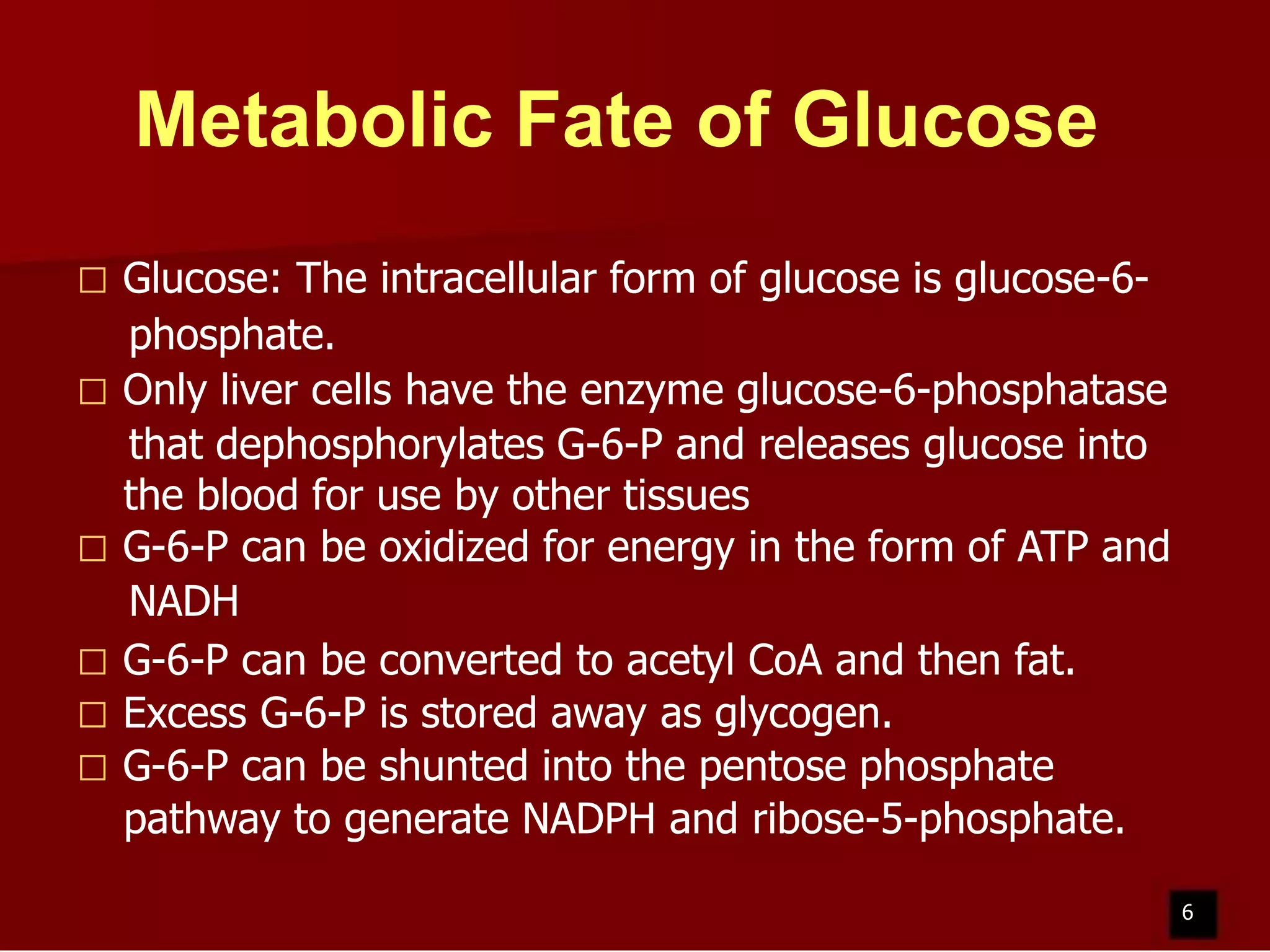 Metabolic Fate of Glucose
Glucose: The intracellular form of glucose is glucose-6phosphate.
 Only liver cells have the enzyme glucose-6-phosphatase
that dephosphorylates G-6-P and releases glucose into
the blood for use by other tissues
 G-6-P can be oxidized for energy in the form of ATP and
NADH
 G-6-P can be converted to acetyl CoA and then fat.
 Excess G-6-P is stored away as glycogen.
 G-6-P can be shunted into the pentose phosphate
pathway to generate NADPH and ribose-5-phosphate.


6

 