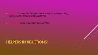 HELPERS IN REACTIONS:
 Enzymes: proteins that facilitate chemical reactions without being
changed in the process; protein catalysts.
 Coenzymes: assist enzymes in their activities.
 