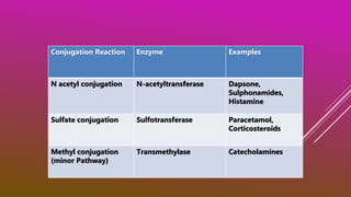 PHASE II : NON-MICROSOMAL CONJUGATION
Conjugation Reaction Enzyme Examples
N acetyl conjugation N-acetyltransferase Dapsone,
Sulphonamides,
Histamine
Sulfate conjugation Sulfotransferase Paracetamol,
Corticosteroids
Methyl conjugation
(minor Pathway)
Transmethylase Catecholamines
 