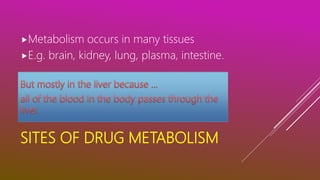 SITES OF DRUG METABOLISM
Metabolism occurs in many tissues
E.g. brain, kidney, lung, plasma, intestine.
 