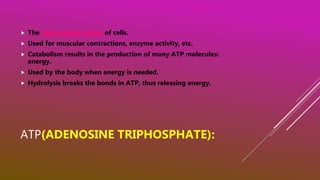 ATP(ADENOSINE TRIPHOSPHATE):
 The main energy source of cells.
 Used for muscular contractions, enzyme activity, etc.
 Catabolism results in the production of many ATP molecules:
energy.
 Used by the body when energy is needed.
 Hydrolysis breaks the bonds in ATP, thus releasing energy.
 